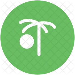 Palmera  Icono