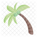 Palmera Arbol Coco Icon