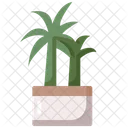 Palmera  Icon