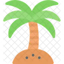 Palmera  Icon