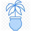 Palmera Icon