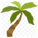 Palmera de cocos  Icono