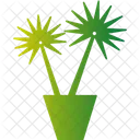 Palme  Symbol