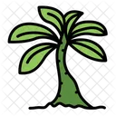 Palme Baum Grun Symbol