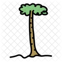 Palme Baum Grun Symbol