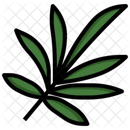 Palme  Symbol