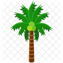 Palme Baum Grun Pflanze Symbol