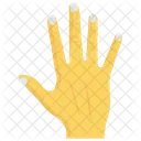 Handflache Finger Stopp Symbol