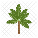 Palmera  Icono