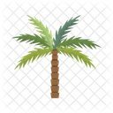 Palmera  Icono