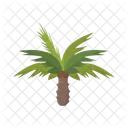 Palmera  Icono