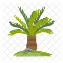 Palma Verano Hoja Icon