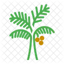 Palmera  Icono