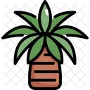 Palmera  Icono