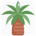 Palmera  Icono