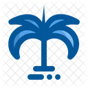 Palmera  Icon