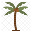 Palmera  Icon