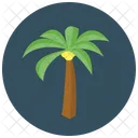 Palmera Arbol Playa Icon