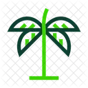 Palmera Naturaleza Arbol Icon