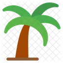 Palmera Coco Bosque Icon