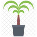 Palmera  Icono