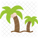 Palmera Palma Coco Icon