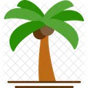 Palmera  Icon