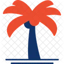 Palmera  Icon