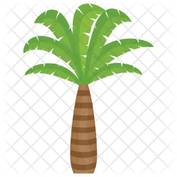 Palmera  Icono