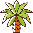 Palmera datilera  Icono