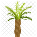 Palmera datilera  Icono