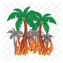 Fuego Caliente Naranja Icono