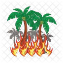 Fuego Caliente Naranja Icono