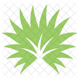 Palmetto Leaf  Icon