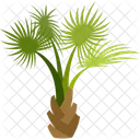 Palmettos Palm Tree Beach Icon