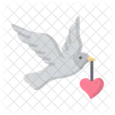 Paloma De San Valentin Paloma Pajaro Icon