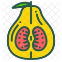 Pamelo Fruit Food Icon