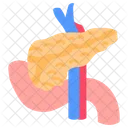 Pancreas Enzimas Digestivas Parte Digestiva Ícone