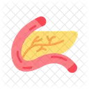 - pancreas  Icon