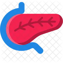 Pancreas  Icon