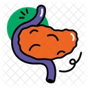 Pancreas Icon