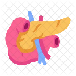 Pancreas  Icon