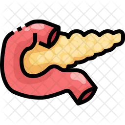 Pancreas  Icon