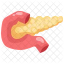 Pancreas Organ Body Part Icon