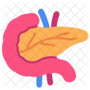 Pancreas Digestive System Healthy Icon