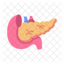 Pancreas Anatomy Human Body Icon