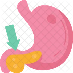 Pancreas  Icon