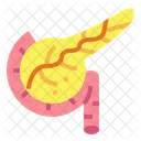 Pancreas Icon