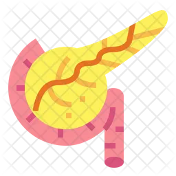 Pancreas  Icon