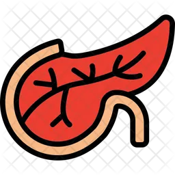 Pancreas  Icon